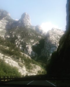 Saaamo eto još jedan u nizu.